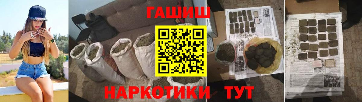 ГАШ Premium Грозный