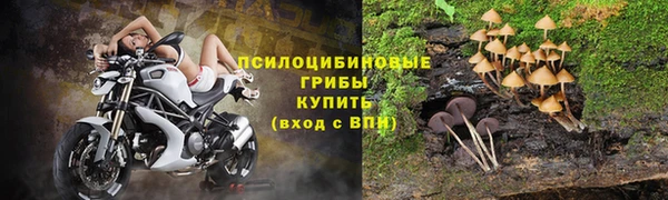 Альфа ПВП Абаза