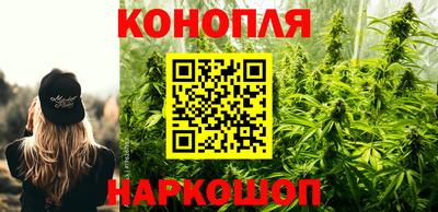 сатива Берёзовский