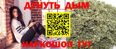 сатива Берёзовский