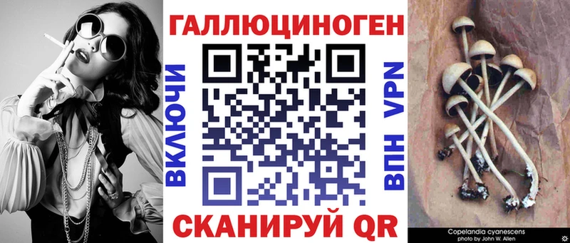 Псилоцибиновые грибы Psilocybe  ОМГ ОМГ ссылка  Грозный 