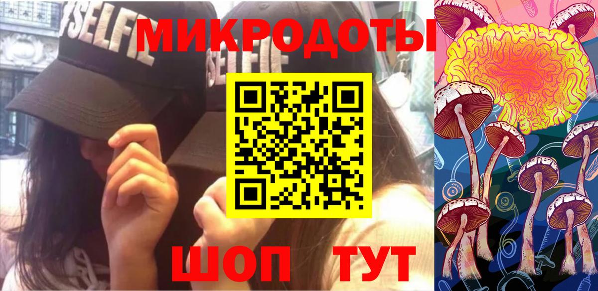 Галлюциногенные грибы Psilocybine cubensis Грозный