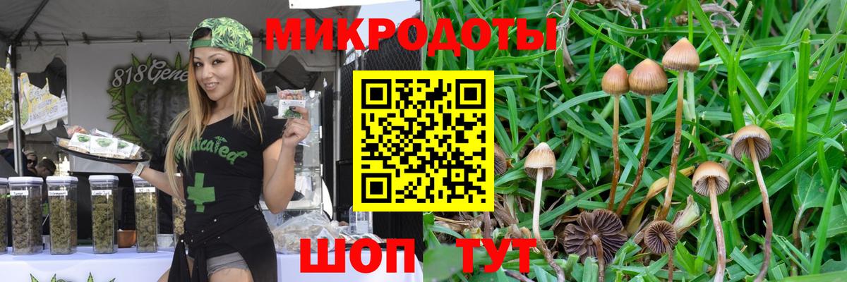 Грозный  Псилоцибиновые грибы ЛСД  Вход с VPN 